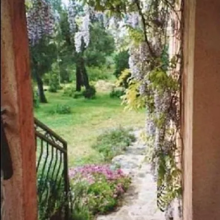 Casa vacanze Holiday Lieu Dit Ambaco